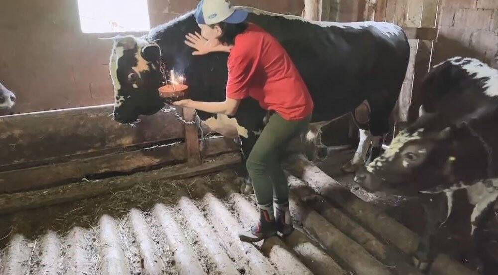 Fenomen boğasına doğum gününde sürpriz yaptı