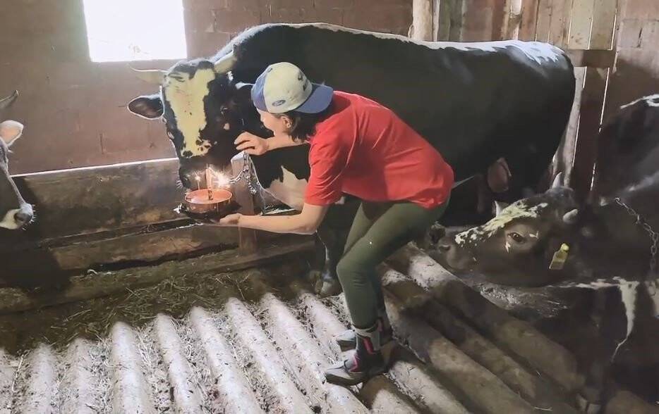 Fenomen boğasına doğum gününde sürpriz yaptı