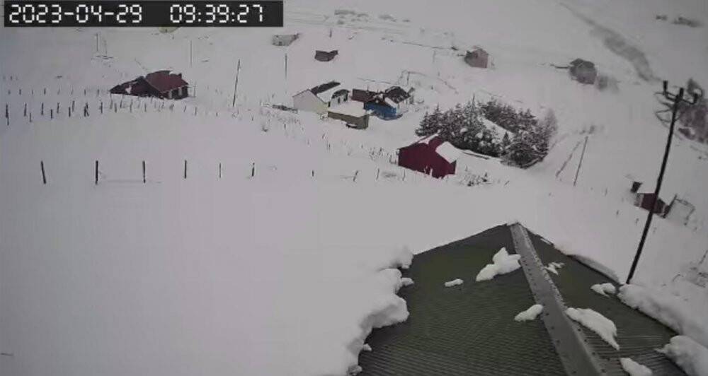 Bir gecede beyaza büründü