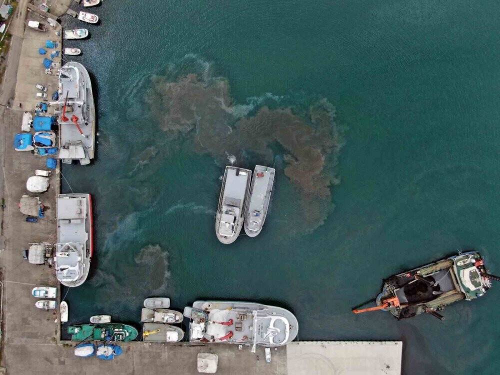 Artık daha rahat girip çıkabilecek