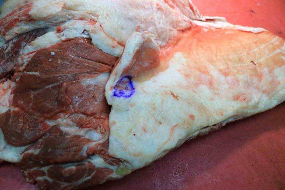 Kısıtlama kaldırıldı, fiyatlarındaki yükseliş durdu