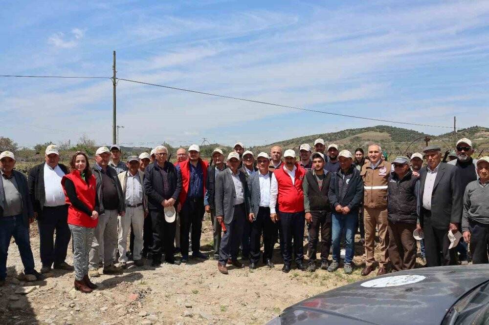 Türk üzümü dünya sofralarına kalıntısız ulaşıyor