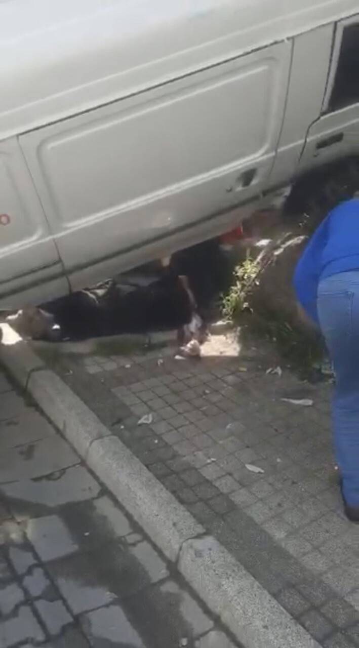 Vatandaşlar minibüsün altında kalan kadın için seferber oldu: O anlar kamerada