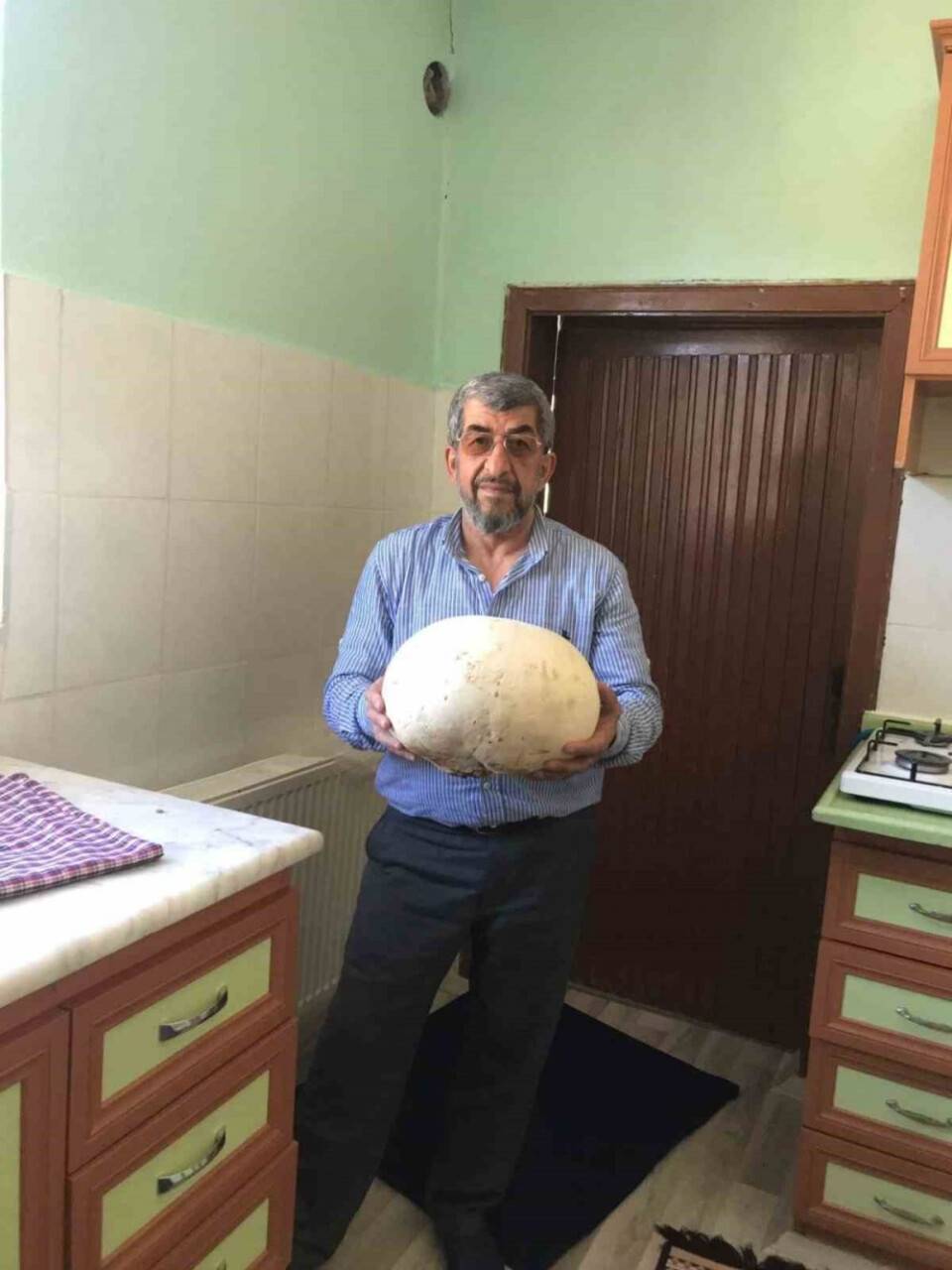 4 kiloluk dev mantar buldular