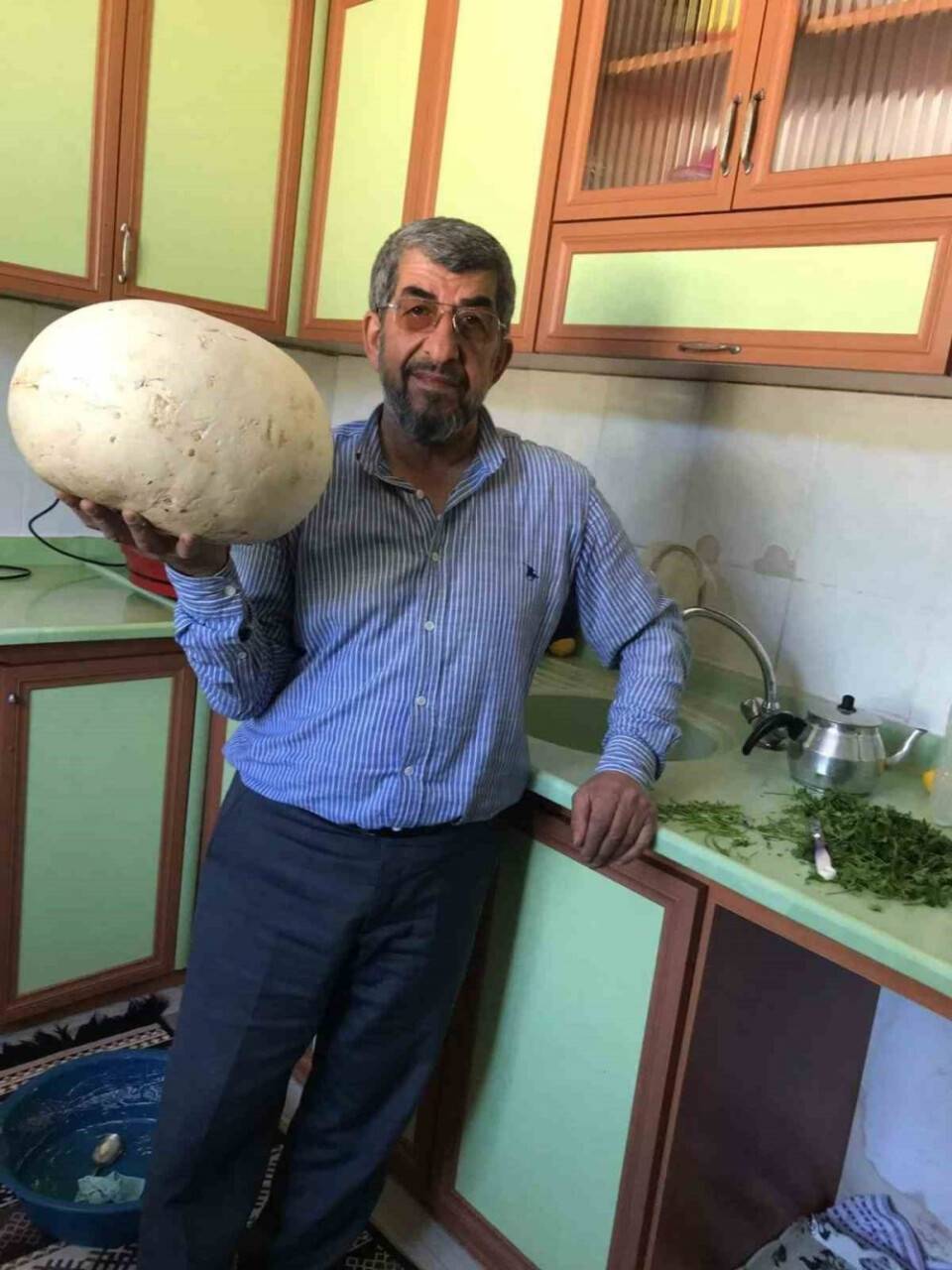 4 kiloluk dev mantar buldular