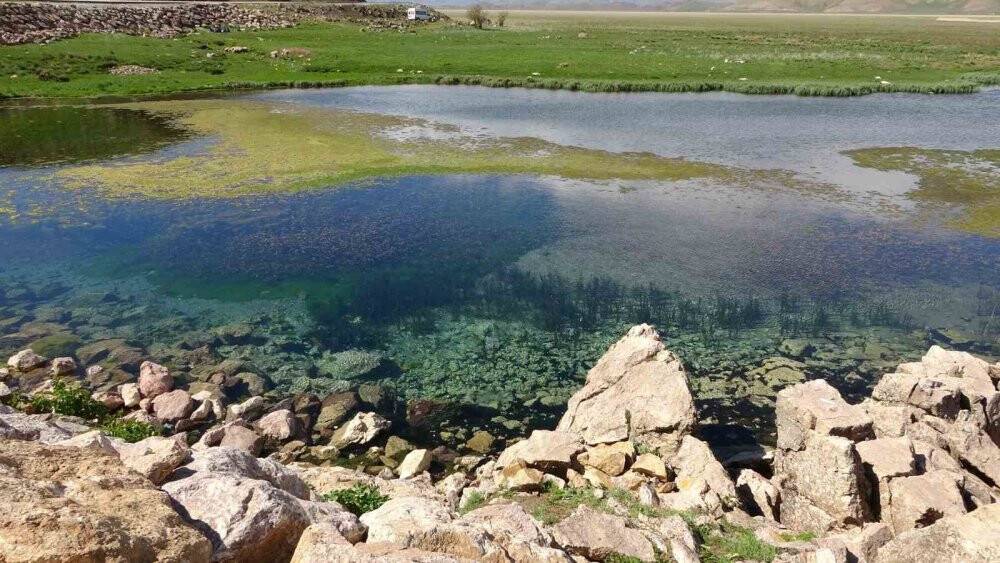 Brezilya'nın Yılan Adası'nı aratmıyor