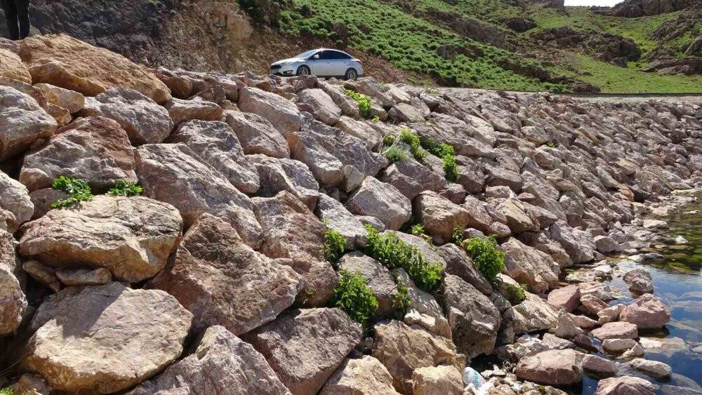 Brezilya'nın Yılan Adası'nı aratmıyor