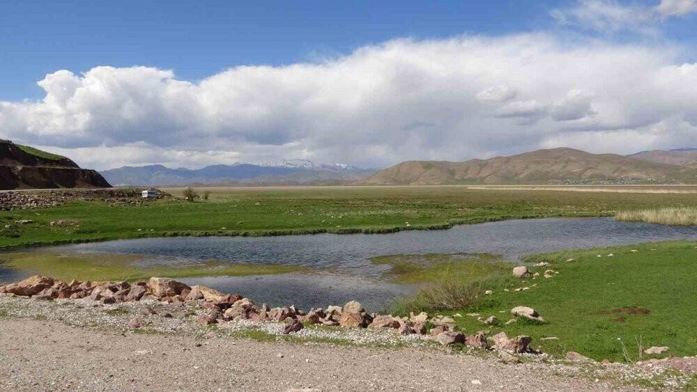 Brezilya'nın Yılan Adası'nı aratmıyor