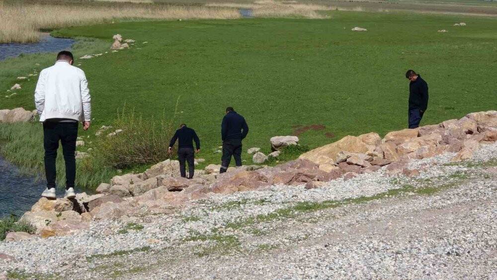 Brezilya'nın Yılan Adası'nı aratmıyor