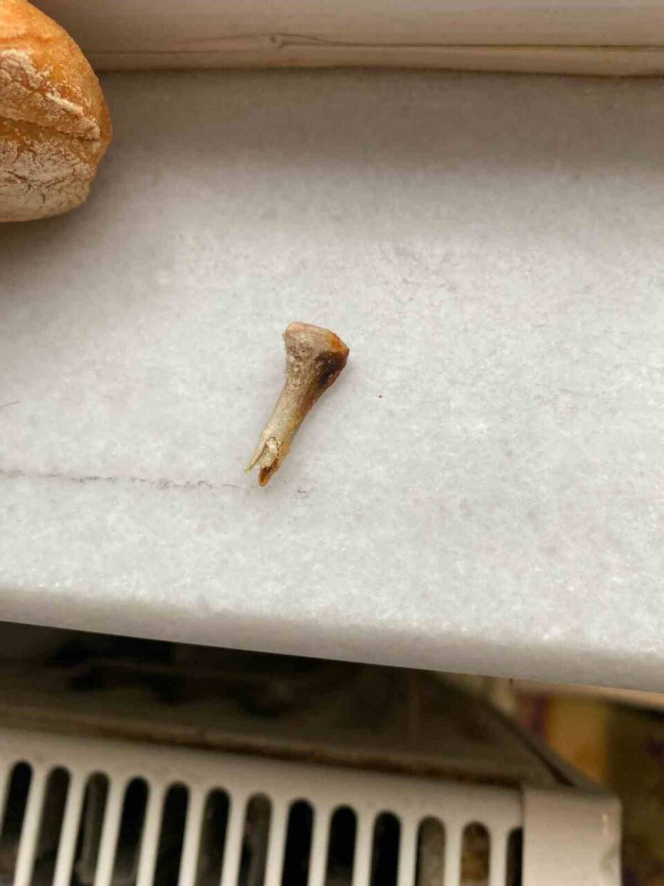 Ekmekten çıktı, yaptığı savunma pes dedirt