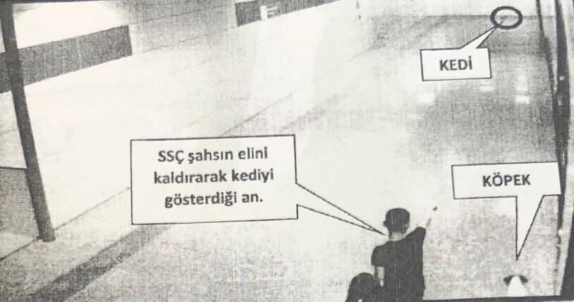 Kediye köpek saldırtarak öldüren şahıs kitap okuyacak