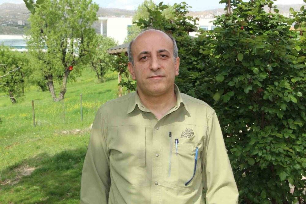 Tedavileri tamamlanan sincaplar doğaya bırakıldı