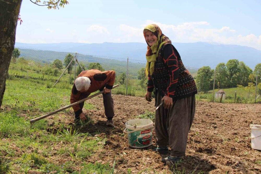 Mevsimlik aşklara inat yarım asrı aşkındır birlikteler