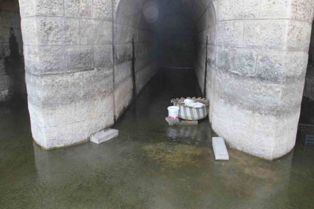 Kuluçkaya yatan Meke ve kazlar ilgi odağı oldu