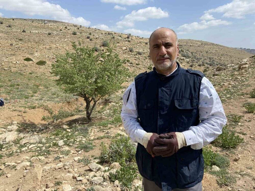 Merak üzerine çıktı, gölge bulamayınca kendini ağaçlara adadı