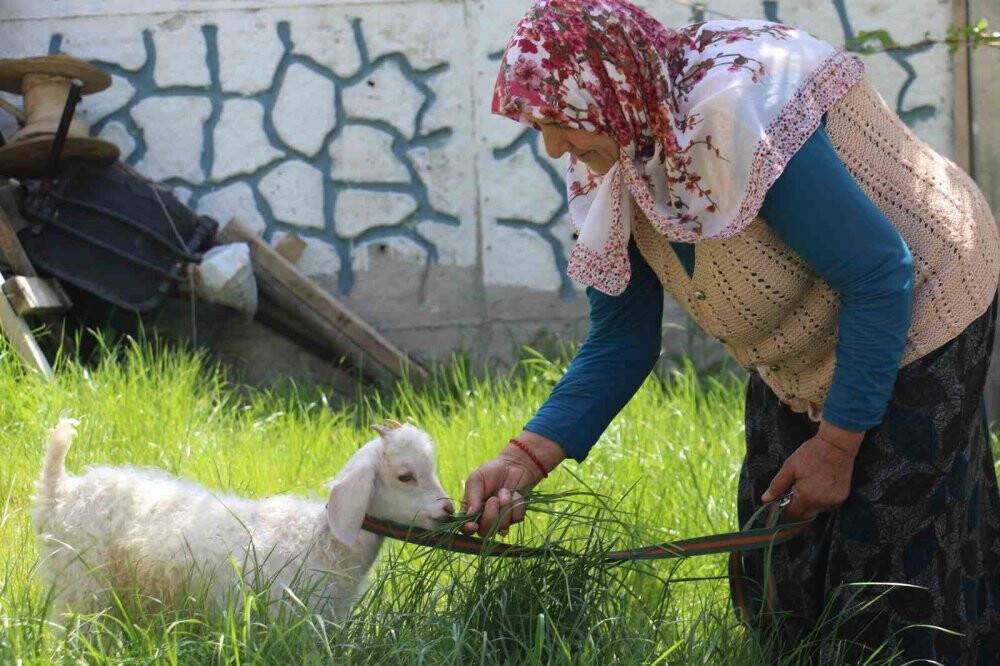 Bebek gibi bakıyor, yanından hiç ayırmıyor