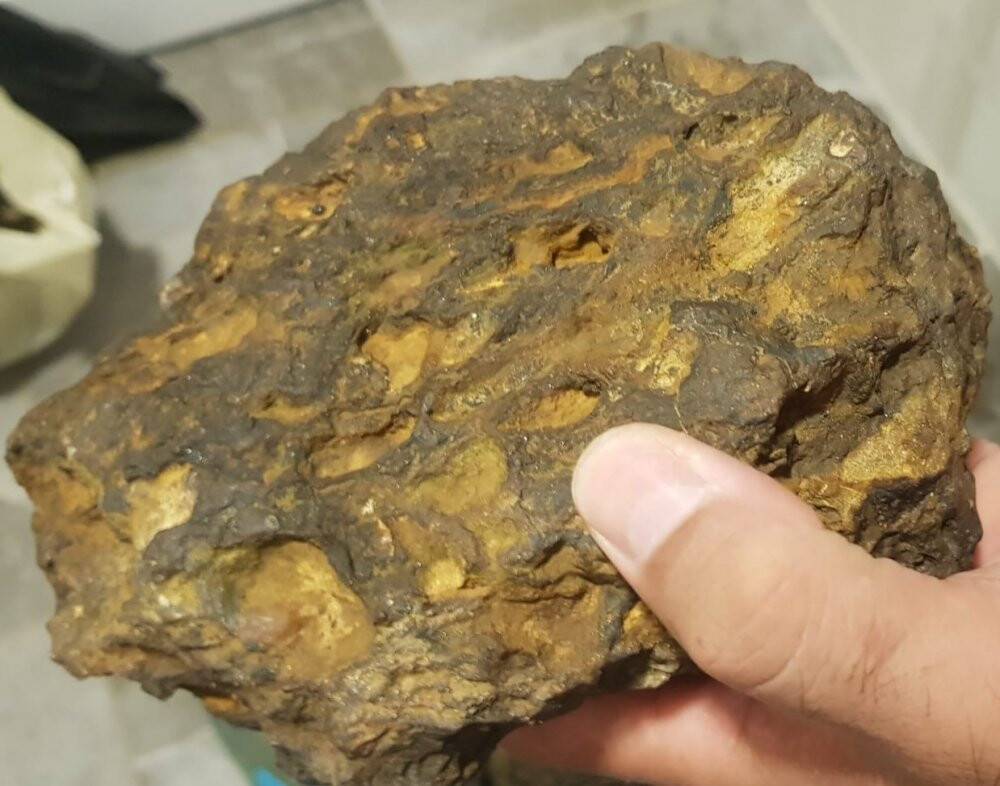 Doğa yürüyüşünde buldular: Bankada saklıyorlar