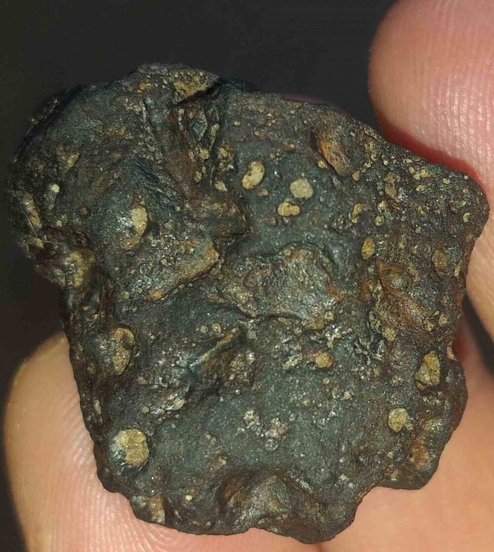 Doğa yürüyüşünde buldular: Bankada saklıyorlar