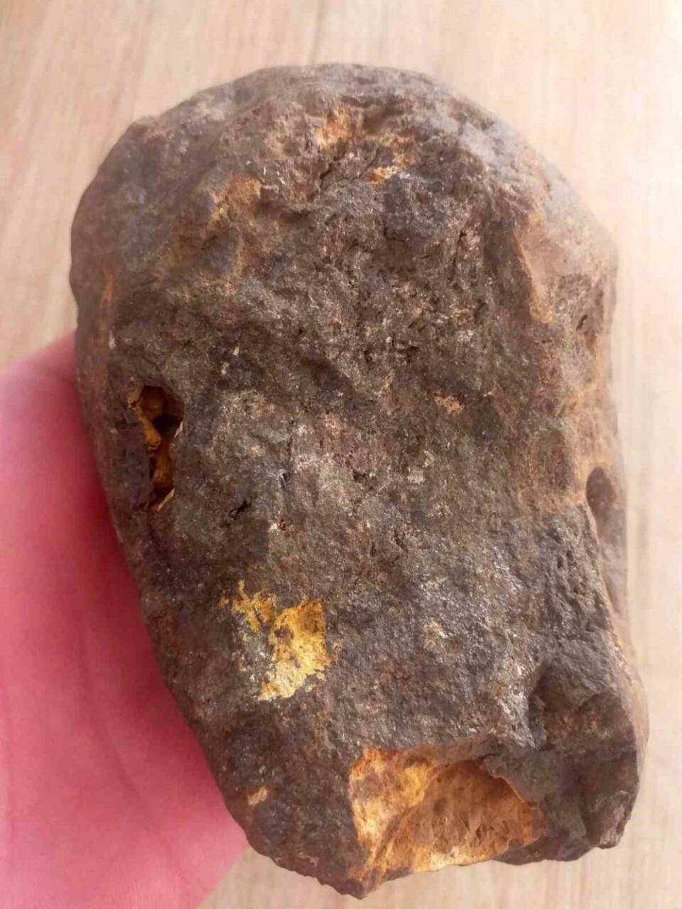 Doğa yürüyüşünde buldular: Bankada saklıyorlar