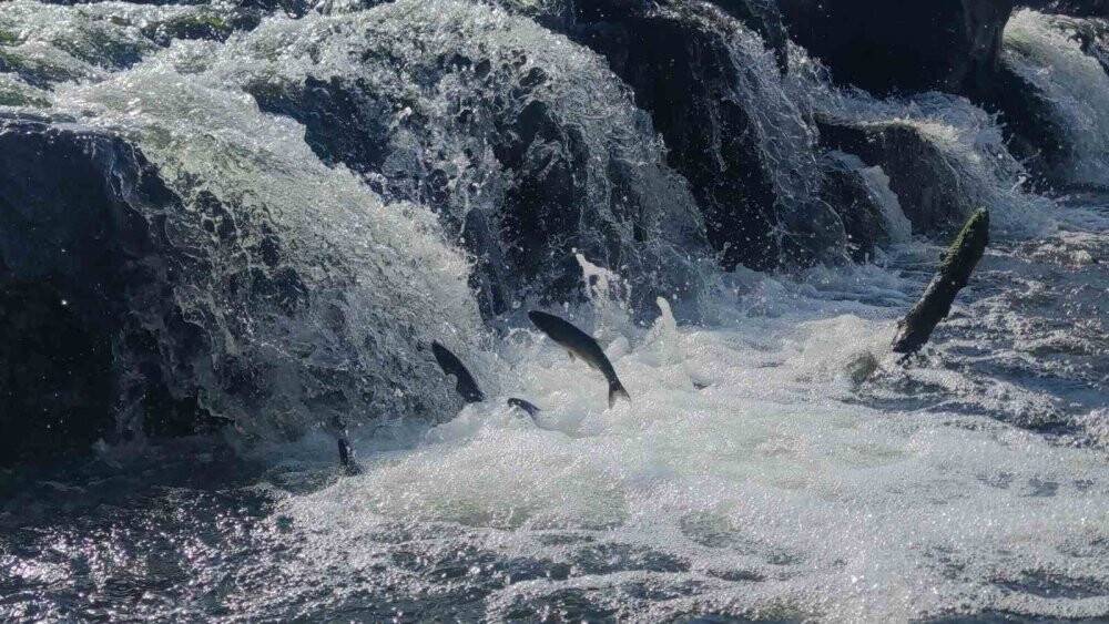 Muhteşem yolculuğu başladı