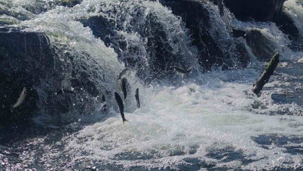 Muhteşem yolculuğu başladı