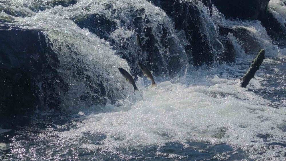 Muhteşem yolculuğu başladı