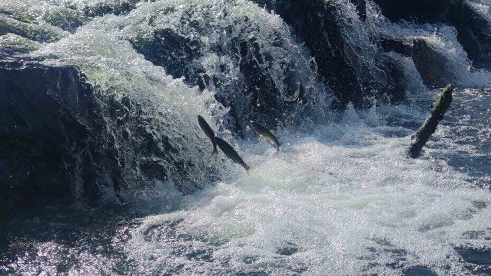 Muhteşem yolculuğu başladı