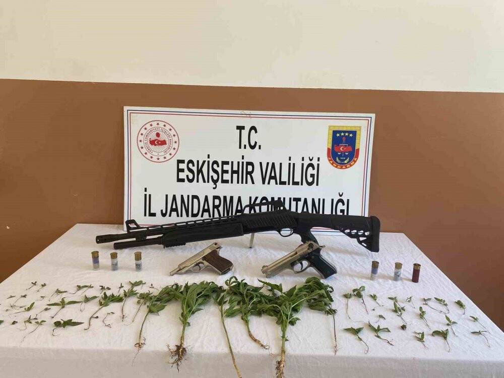 Yasa dışı esrar yetiştiren şahsına jandarma operasyonu