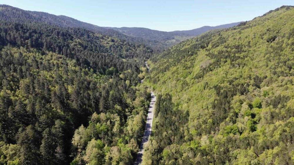 Yeşilin binbir tonuna ev sahipliği yapıyor