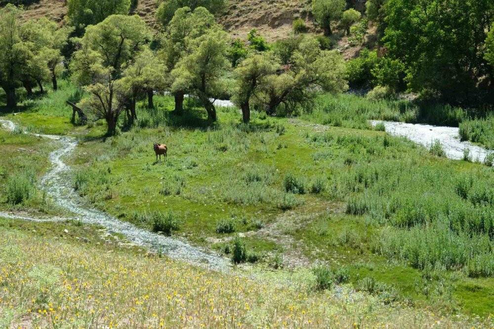 Girlevik Şelalesi’ndeki gözeler, doğaseverlerin uğrak yeri oldu
