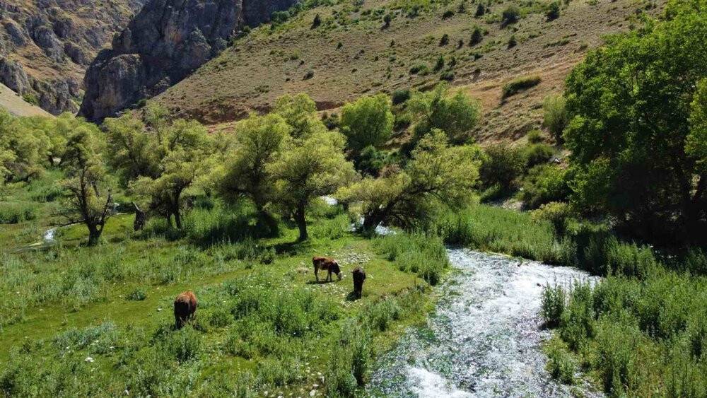Girlevik Şelalesi’ndeki gözeler, doğaseverlerin uğrak yeri oldu