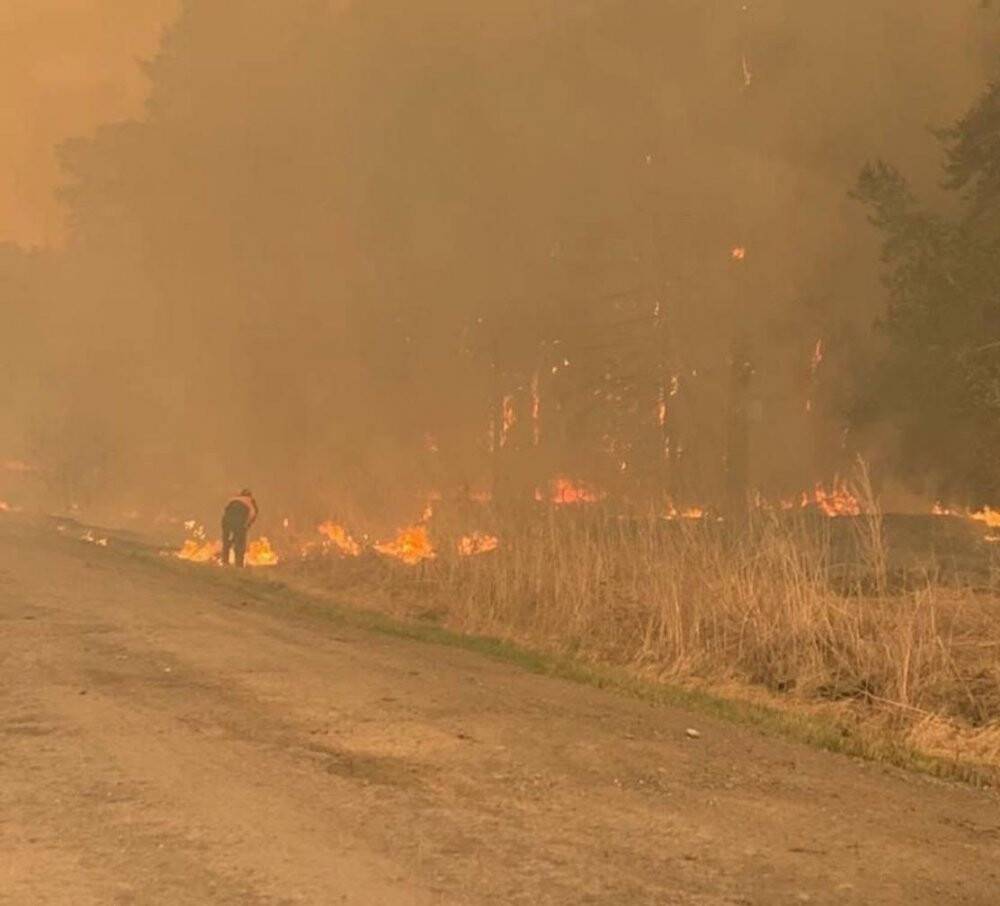 Ural bölgesindeki orman yangınlarında 21 kişi öldü