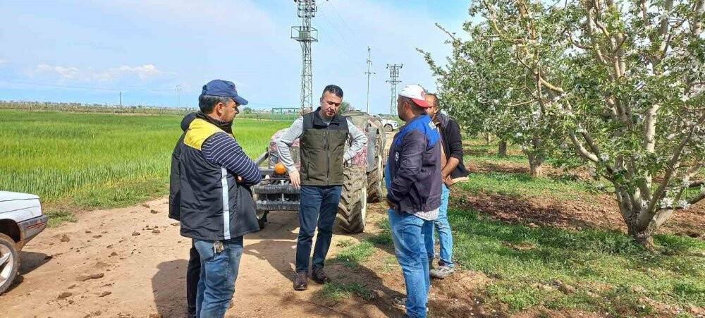 Beyşehir'de zararlılar için ilk ve yeni takip yöntemi