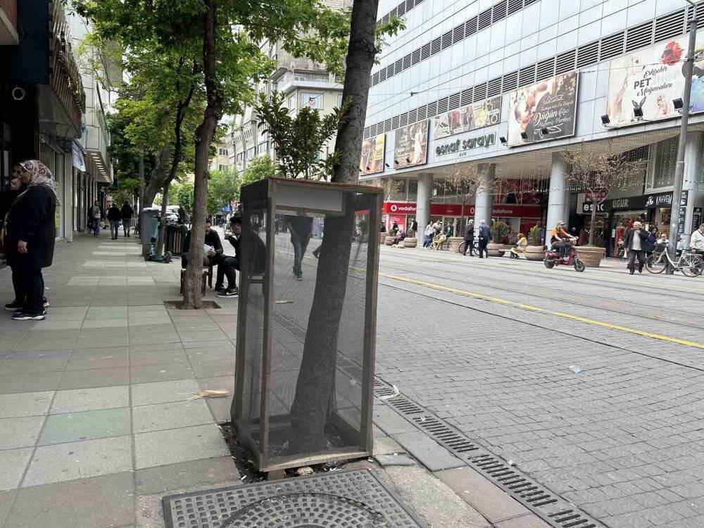 Ağaç zarar görmesin diye aldığı önlemle örnek oldu