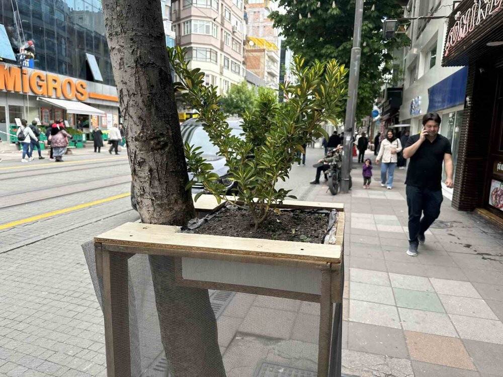 Ağaç zarar görmesin diye aldığı önlemle örnek oldu
