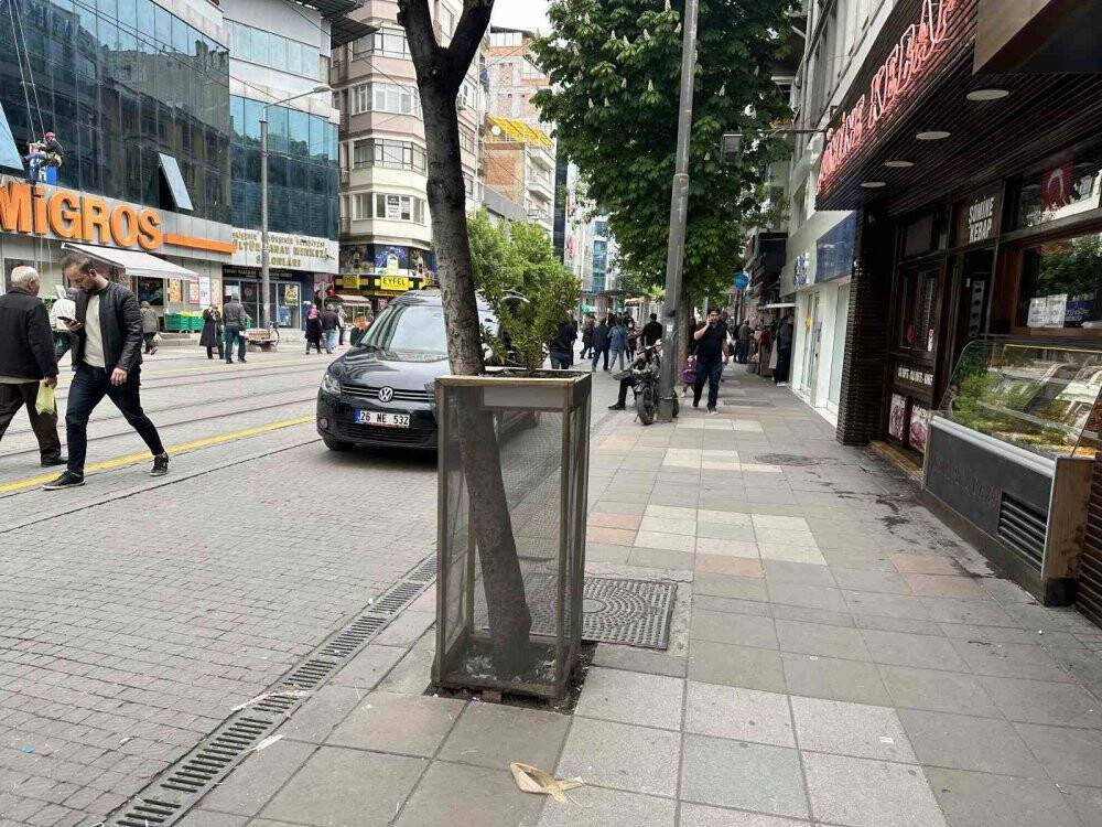 Ağaç zarar görmesin diye aldığı önlemle örnek oldu