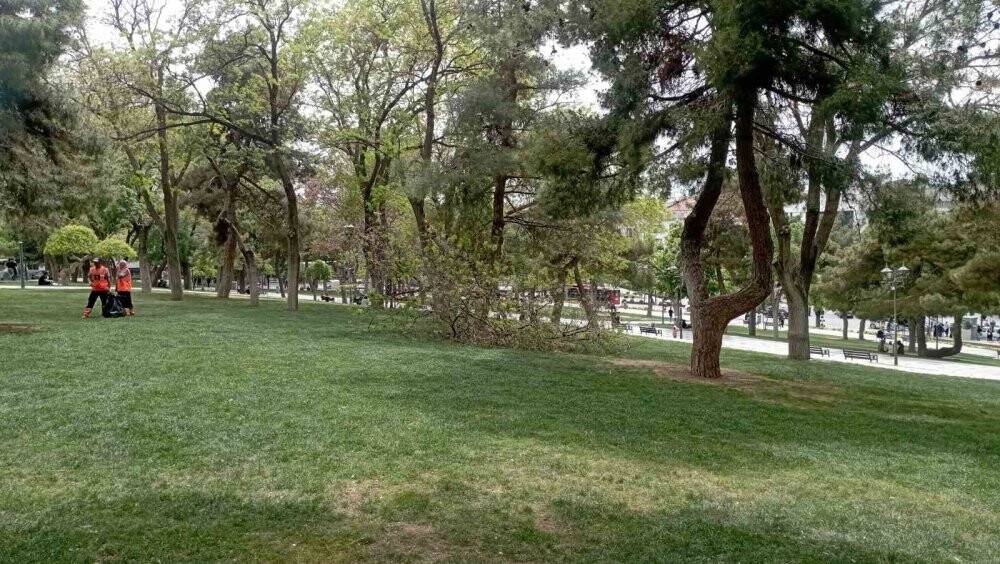 Konya'da rüzgarın kırdığı dalın altında kalan genç yaralandı