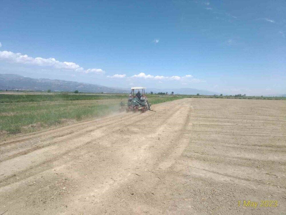 Son yağışlar çiftçilerin yüzünü güldürdü