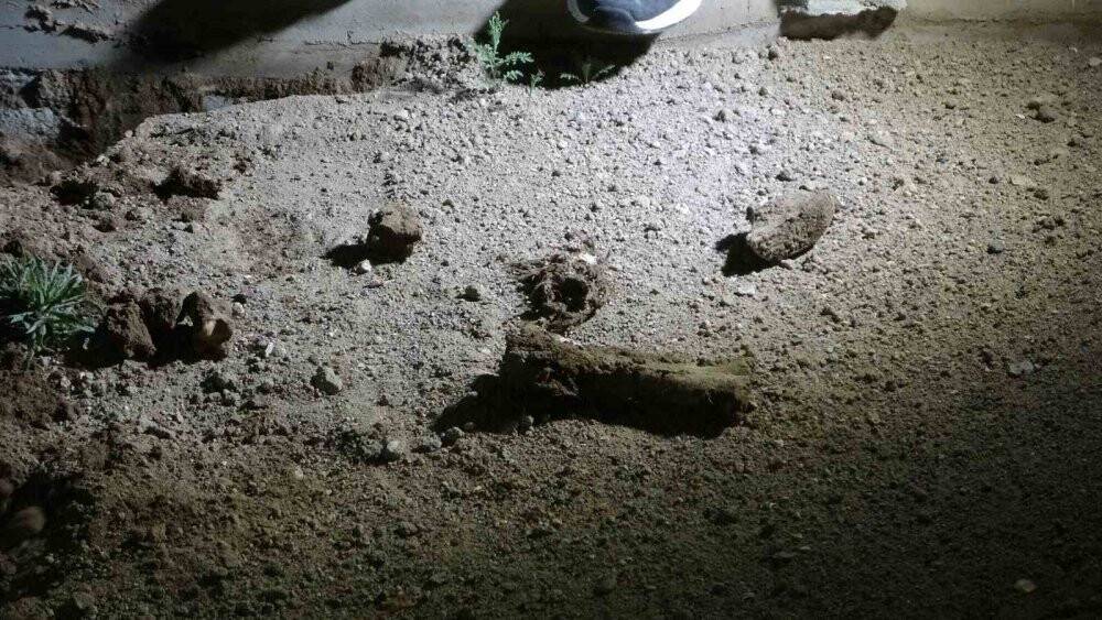 Mezarlıkta bir garip olay: "İnsan kemiği" dedi, hayvan kemiği çıktı