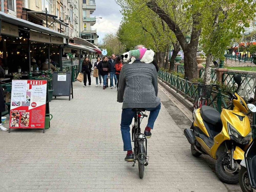 Boynunda kedisi ile Türkiye’yi dolaşıyor