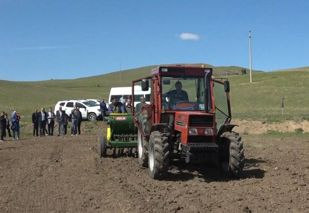 Karabuğday tohumları toprakla buluştu