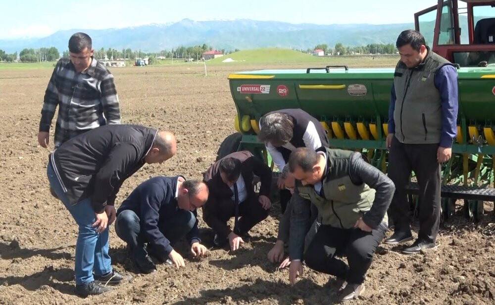 Karabuğday tohumları toprakla buluştu