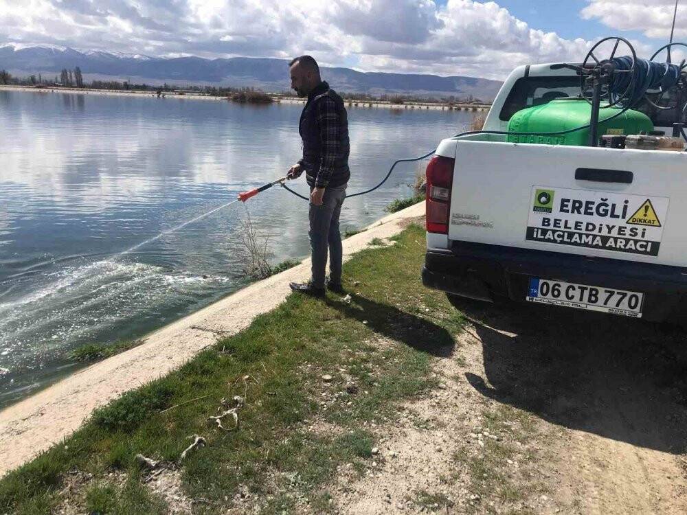 Ereğli'de sinek ve haşere ile mücadele sürüyor
