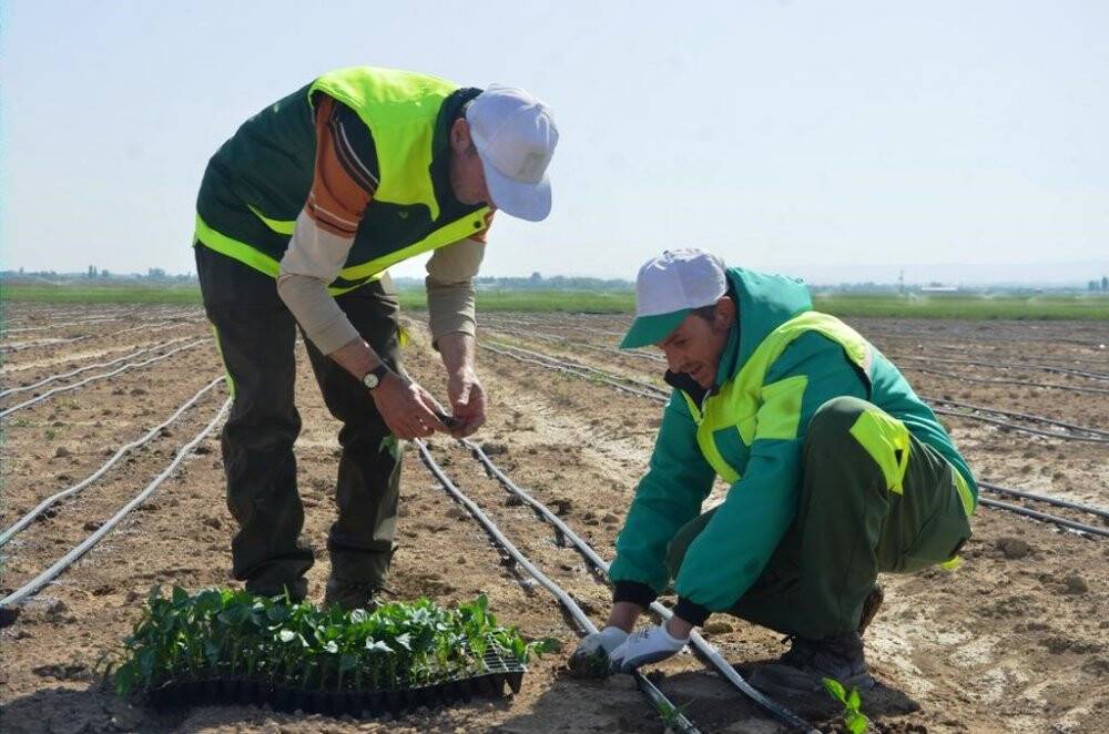 Ereğli'de yılın ilk fide ekimi gerçekleştirildi
