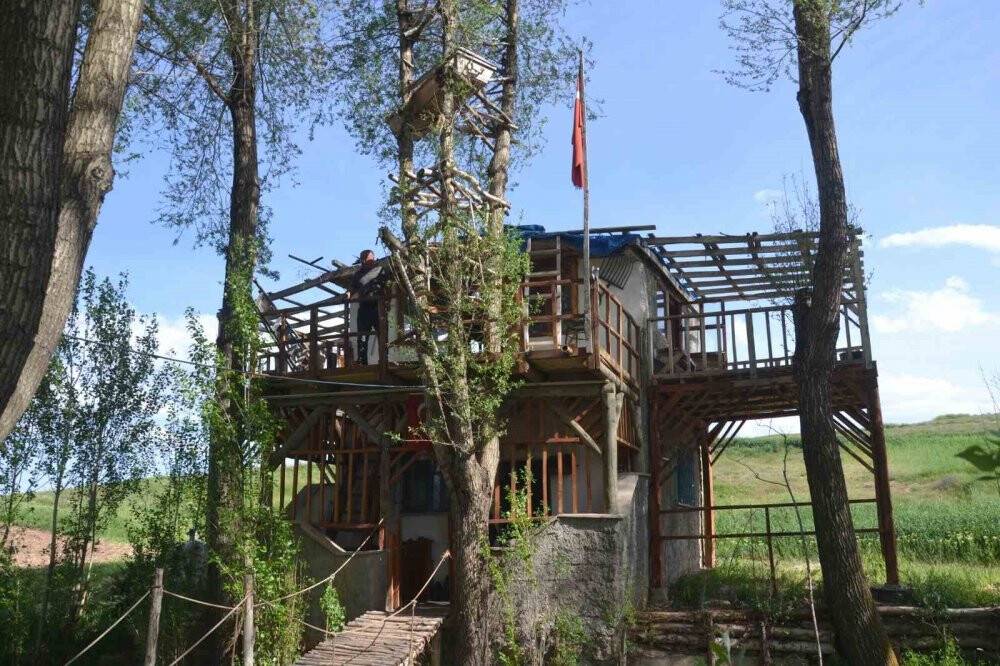 Görenler gözlerine inanamıyor, ağaçların dallarında meyve yerine tabut var