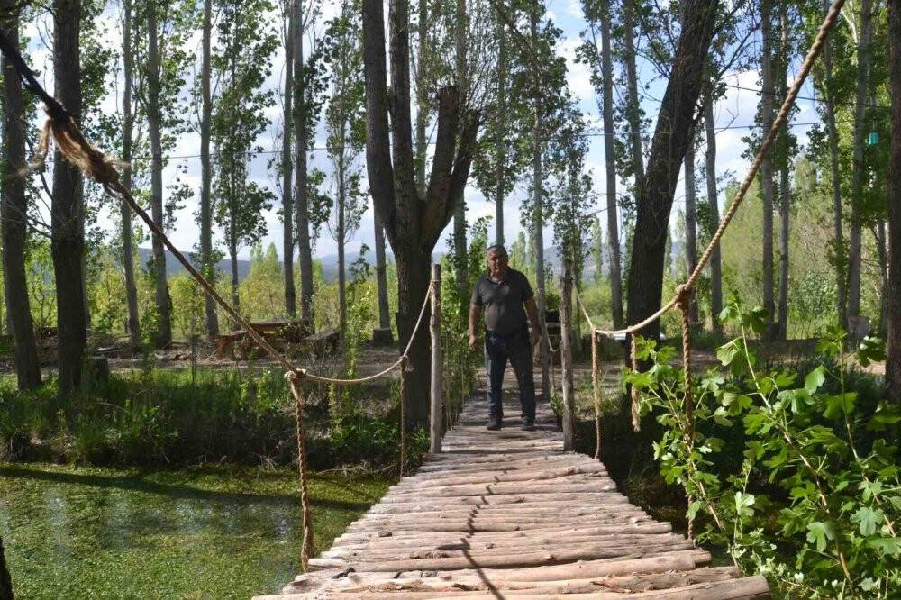 Görenler gözlerine inanamıyor, ağaçların dallarında meyve yerine tabut var