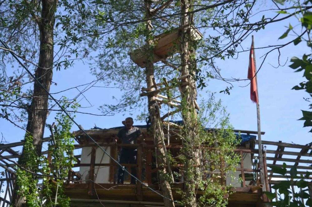 Görenler gözlerine inanamıyor, ağaçların dallarında meyve yerine tabut var