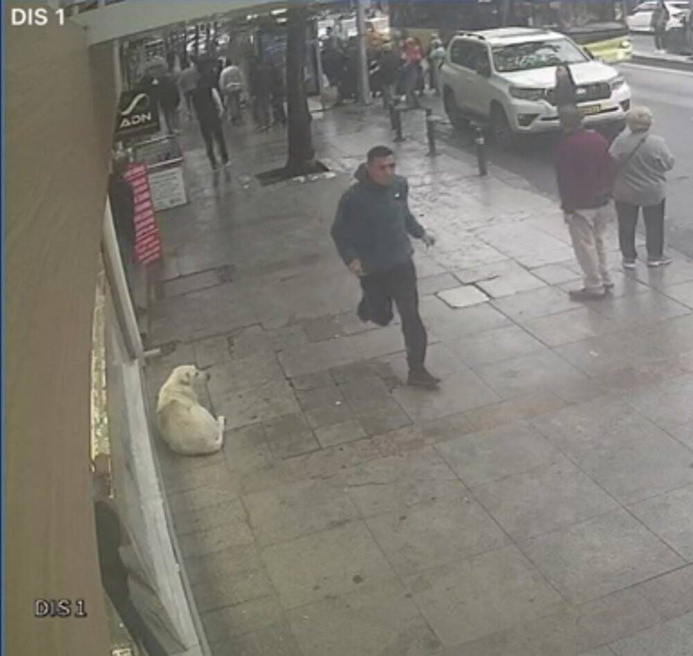 İstanbul’da bıçaklı ev sahibi dehşeti: Kiracısından 10 bin lira zam istemiş