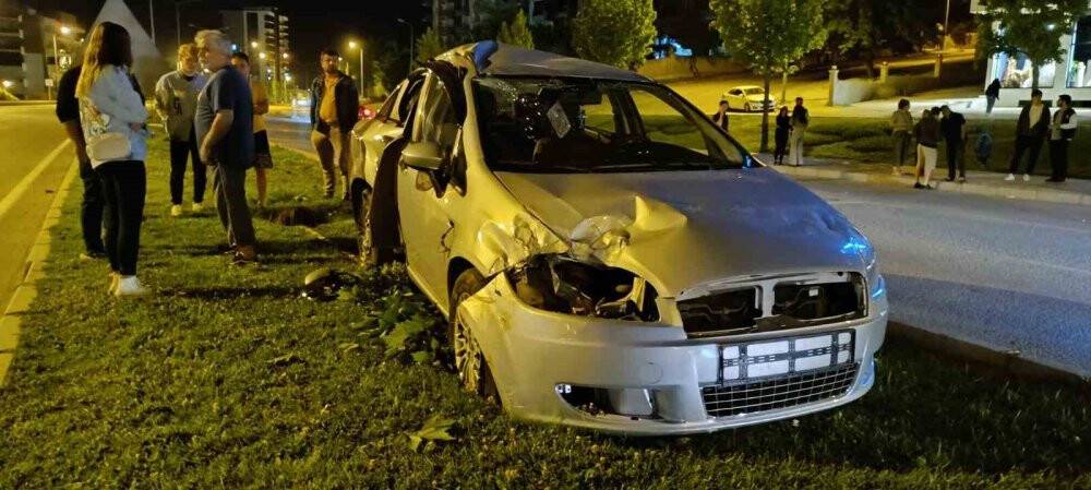 Kontrolden çıkan araç aydınlatma direği ve ağaçları devirdi