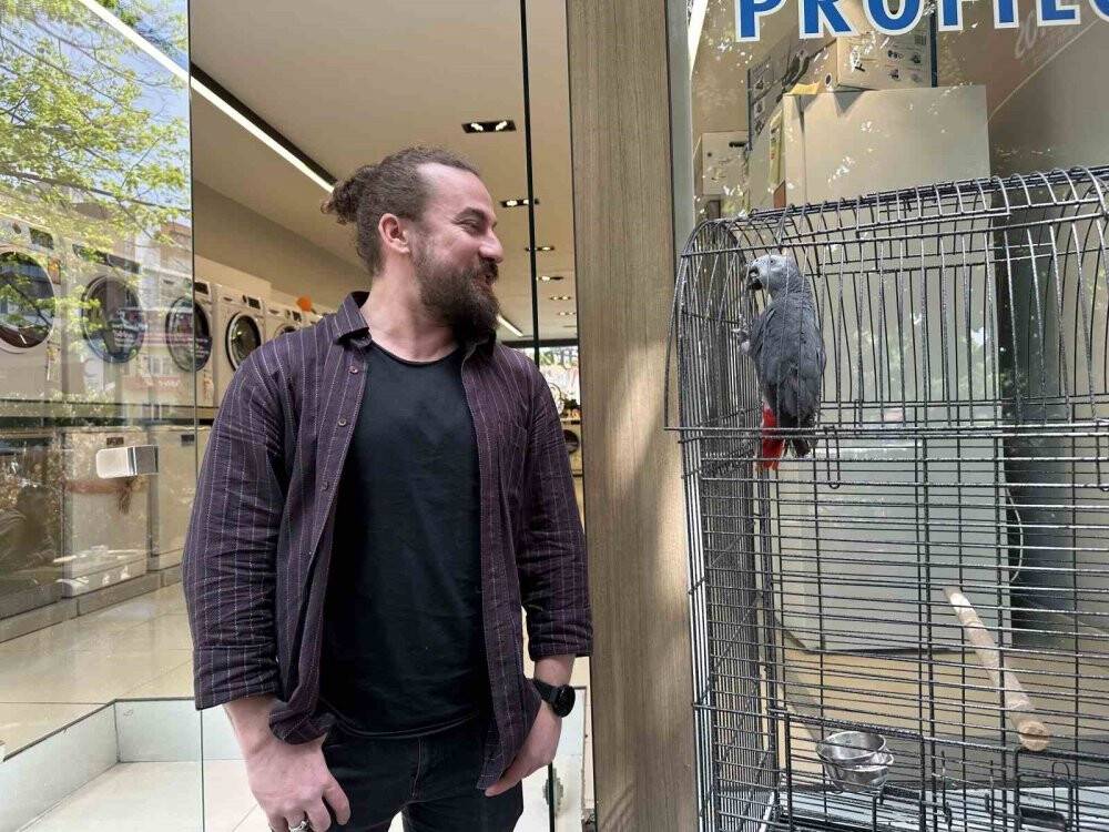 ’Pala’ isimli papağan kargalara özendi, Türkçeyi unuttu